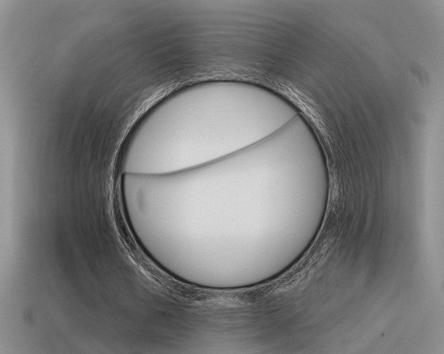 X0000115590578200911100933