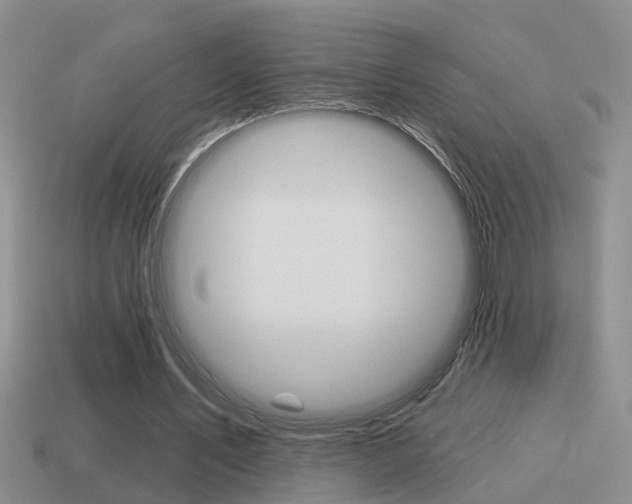 X0000115590579200911100933