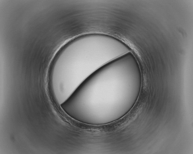 X0000115590580200911100933