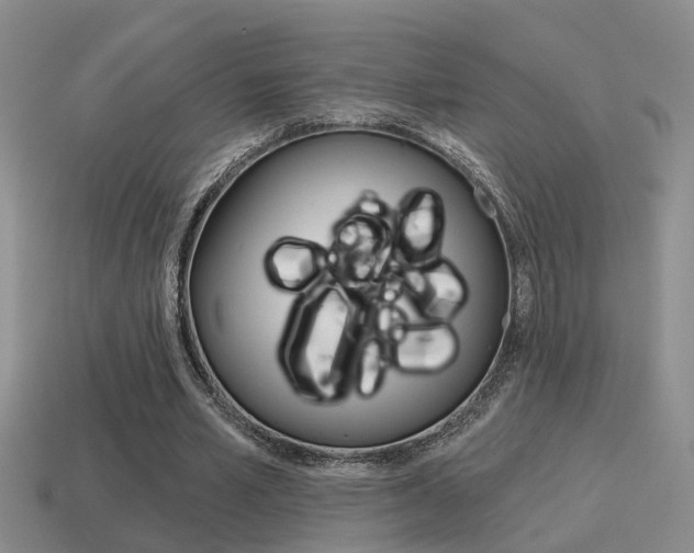 X0000115590581200911100933