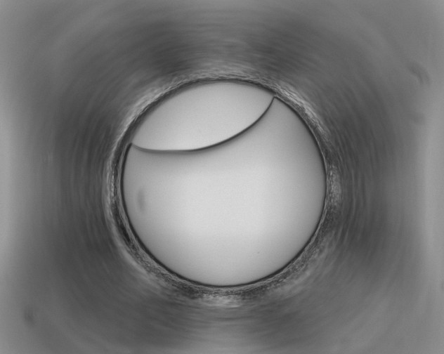 X0000115590582200911100933