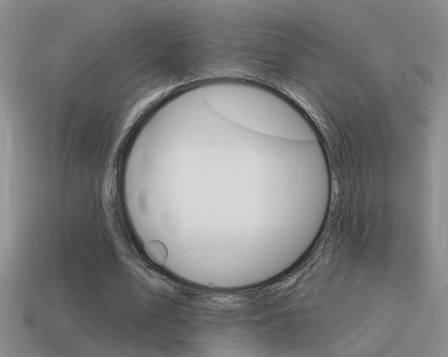 X0000115590583200911100933
