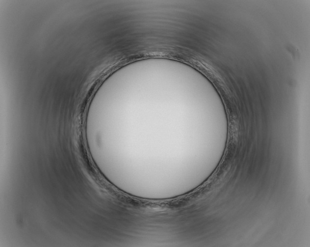 X0000115590586200911100933