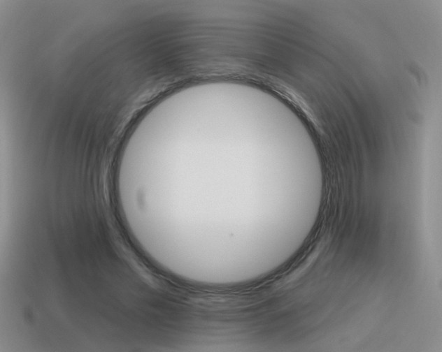 X0000115590589200911100933