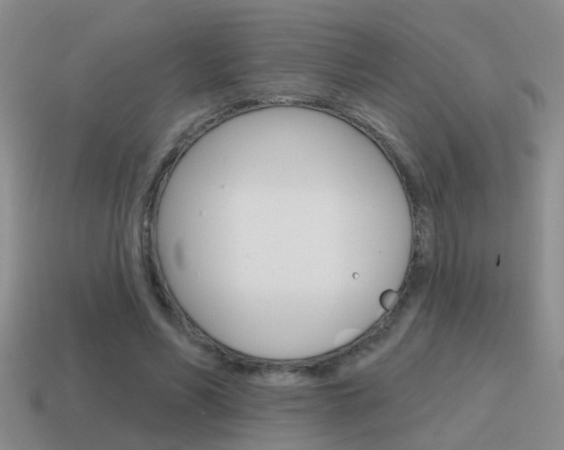 X0000115590590200911100933