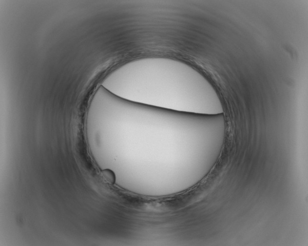 X0000115590591200911100933