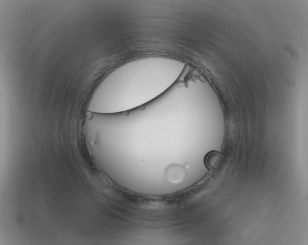 X0000115590594200911100933