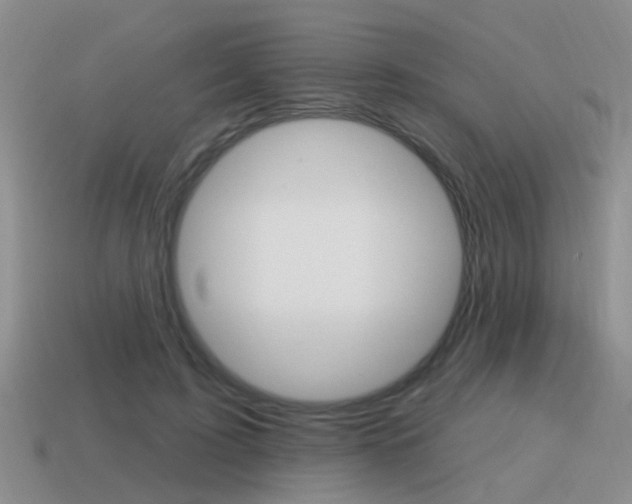 X0000115590595200911100933