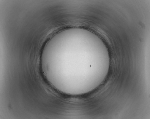 X0000115590596200911100933