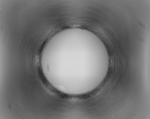 X0000115590598200911100932