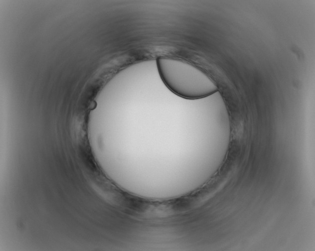 X0000115590599200911100932