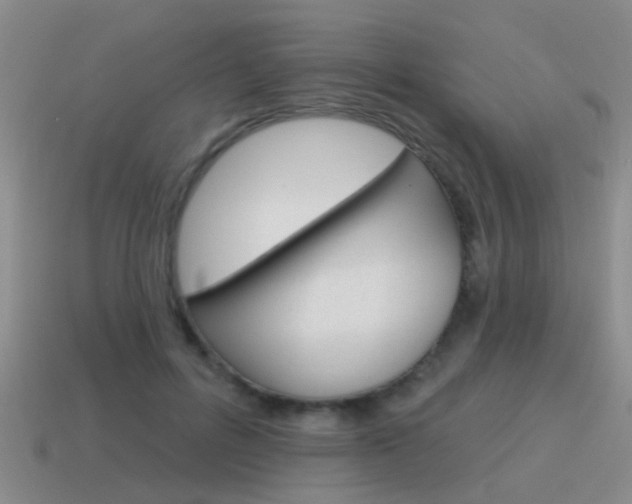 X0000115590600200911100932