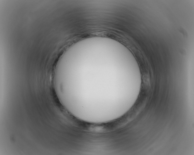 X0000115590602200911100932