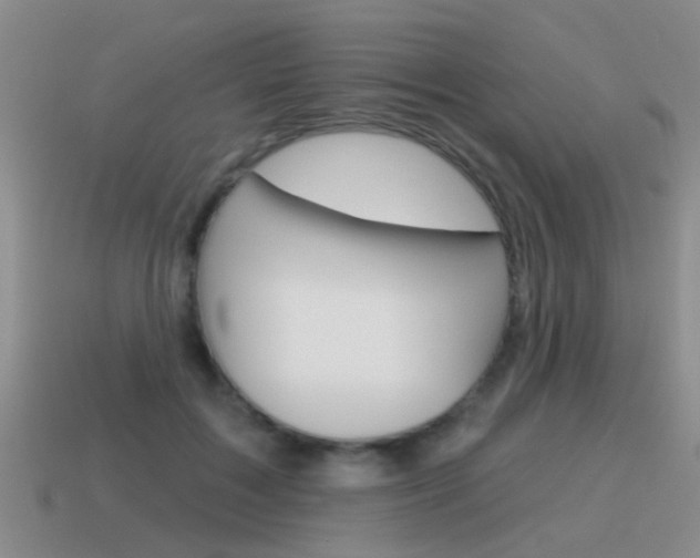 X0000115590603200911100932