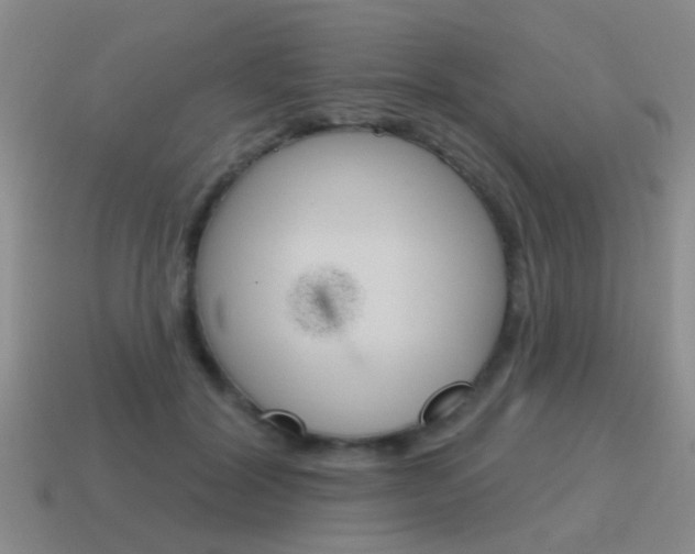 X0000115590604200911100932