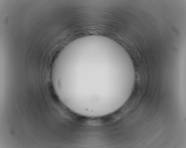 X0000115590606200911100932