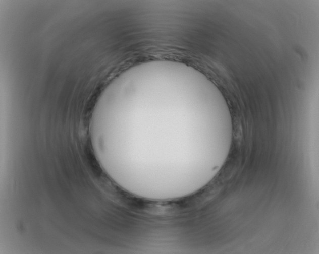X0000115590607200911100932
