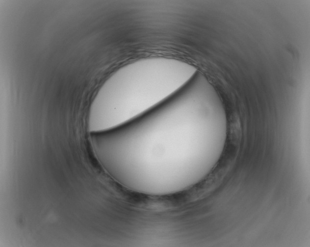 X0000115590608200911100932
