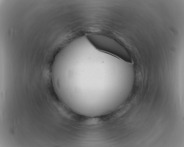 X0000115590609200911100932