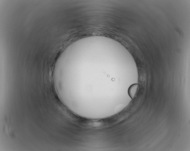 X0000115590610200911100932