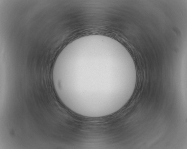 X0000115590613200911100932