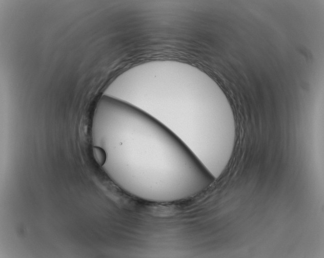 X0000115590615200911100932