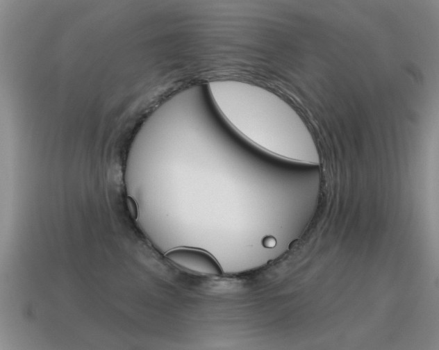 X0000115590617200911100932