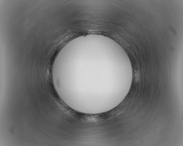 X0000115590618200911100932