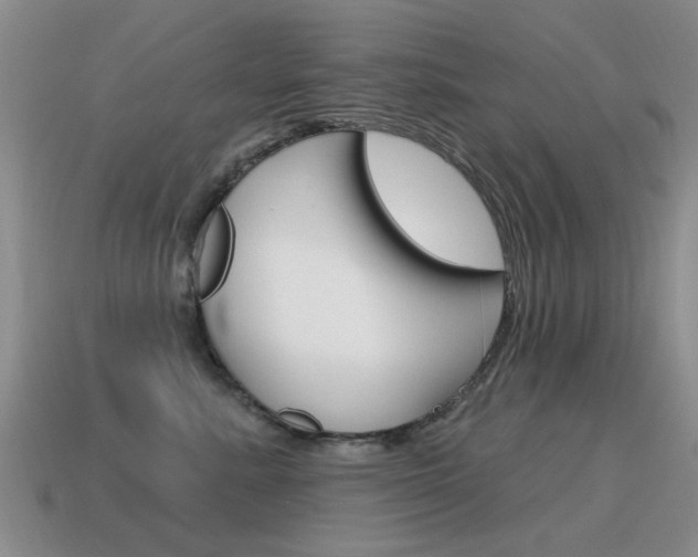 X0000115590619200911100932