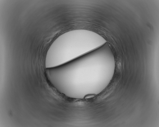 X0000115590620200911100932