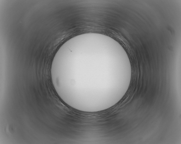 X0000115590621200911100932