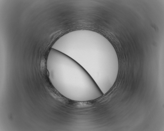 X0000115590623200911100932
