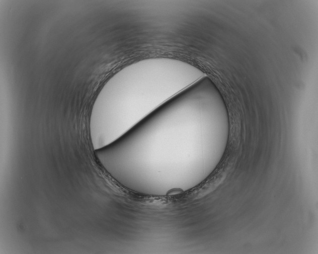 X0000115590624200911100932