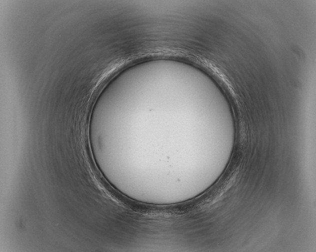 X0000115590625200911100932