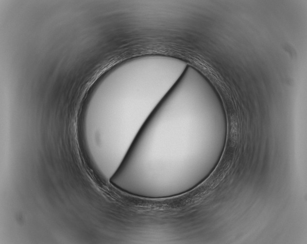 X0000115590626200911100932