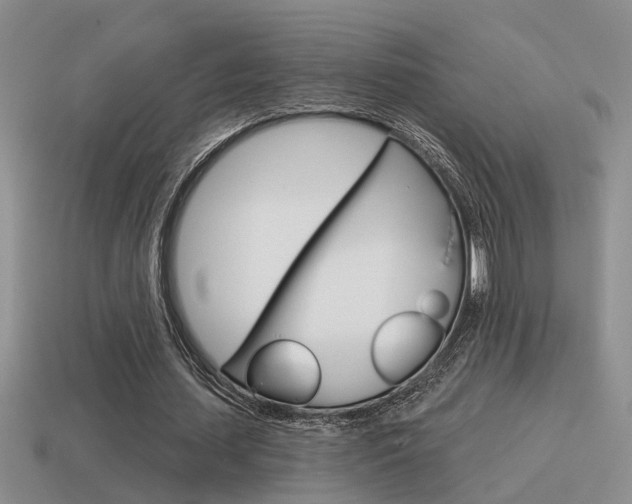 X0000115590627200911100932