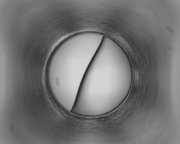 X0000115590628200911100932