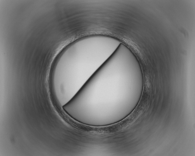 X0000115590630200911100932