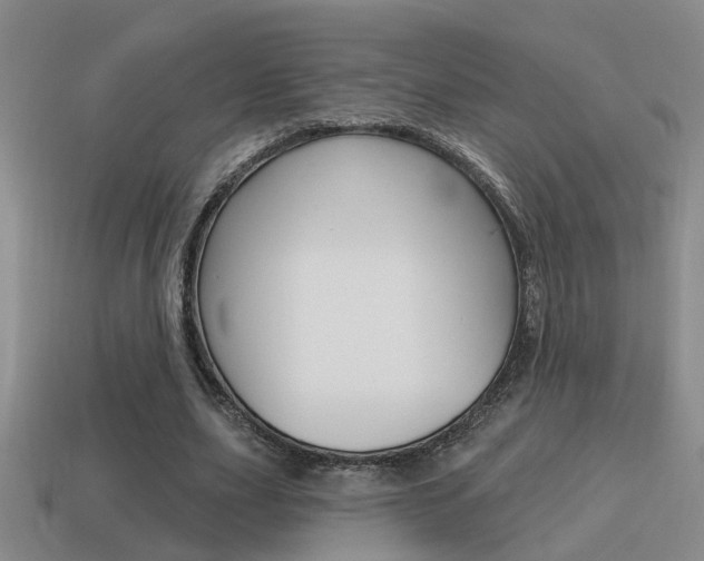 X0000115590631200911100932