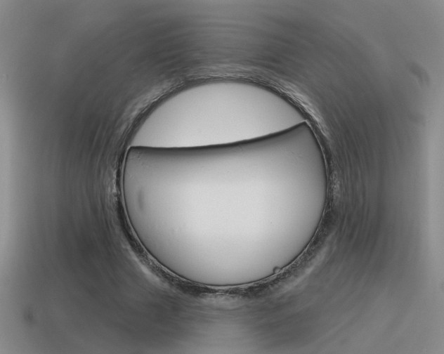 X0000115590633200911100932