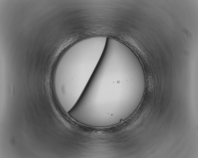 X0000115590634200911100932