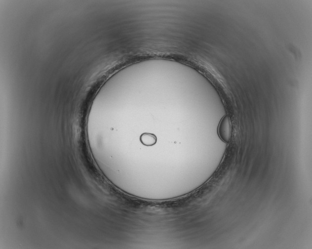 X0000115590635200911100932