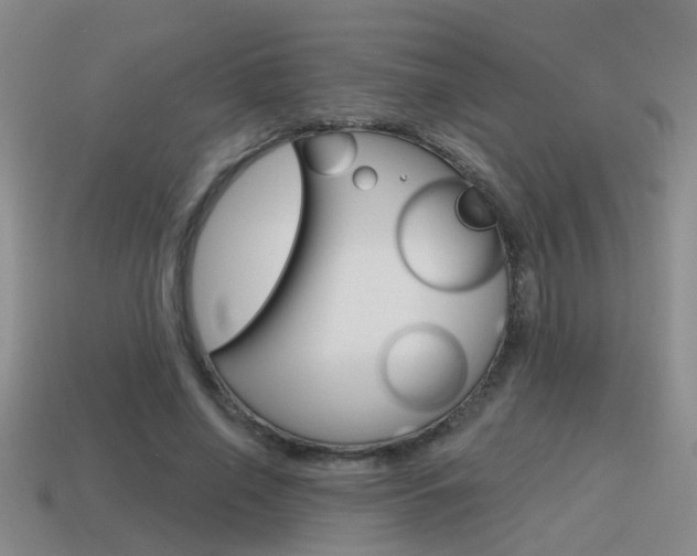 X0000115590638200911100932
