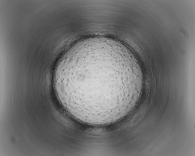 X0000115590639200911100932