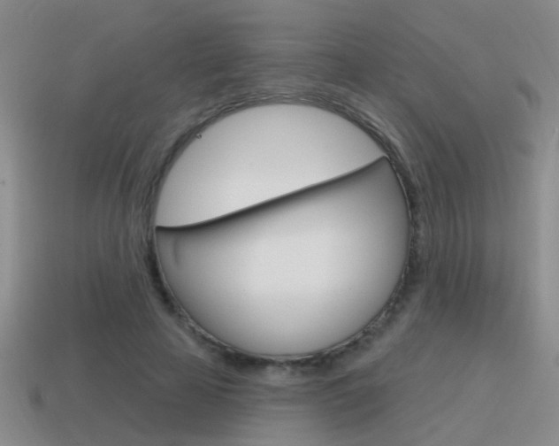 X0000115590641200911100932