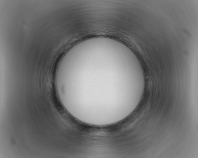 X0000115590643200911100932