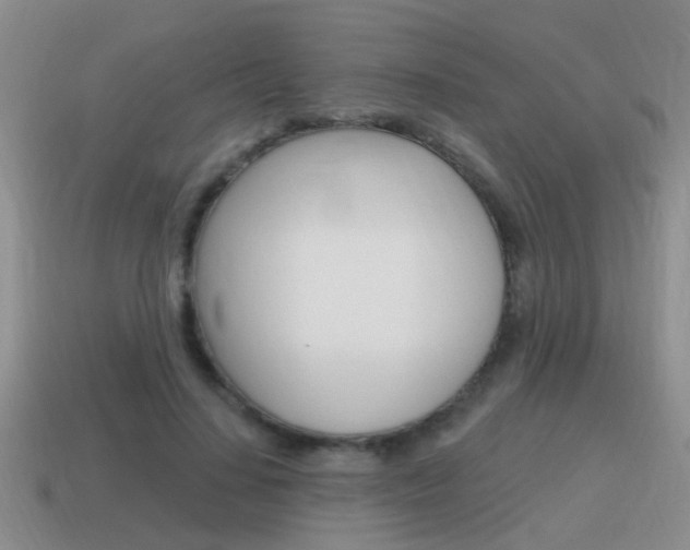 X0000115590644200911100932