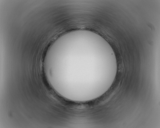 X0000115590646200911100932