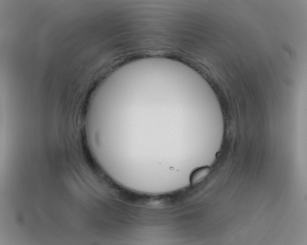 X0000115590647200911100932