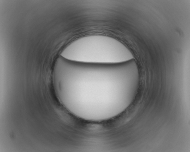 X0000115590649200911100932